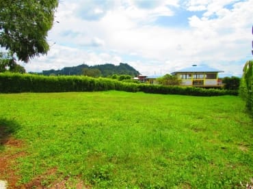 latest property
