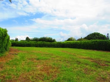 latest property