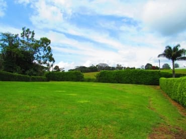 latest property