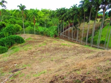 latest property