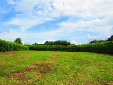 latest property
