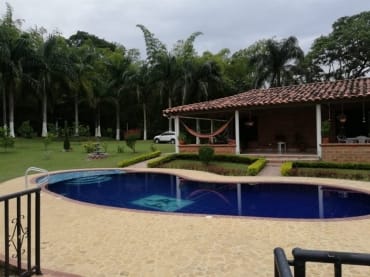 latest property