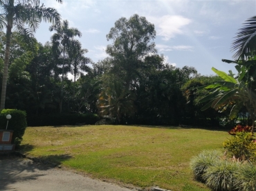 latest property