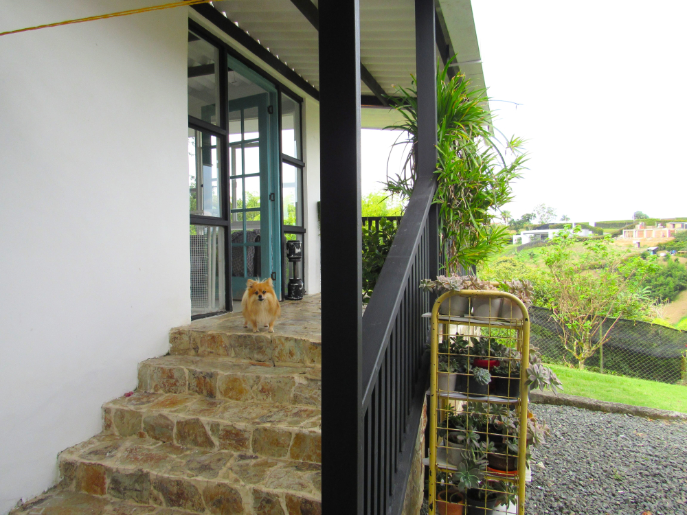 Preview Image 1
